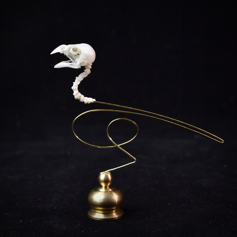 2111 Boutique Ethical Bird Sku - огляд і ціна Art Craft Museum