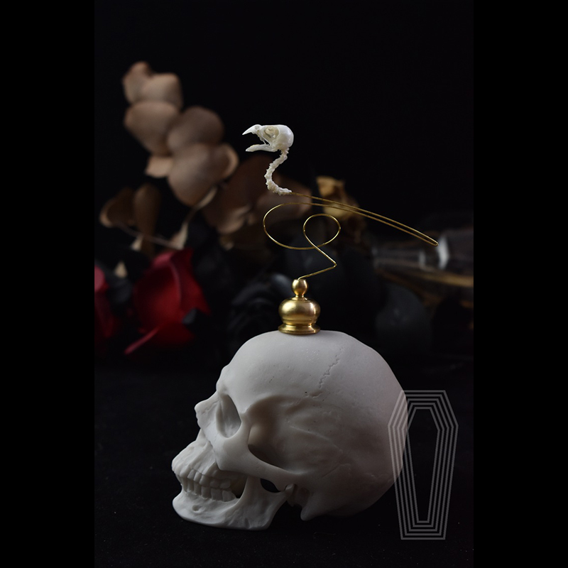 2111 Boutique Ethical Bird Sku - огляд і ціна Art Craft Museum