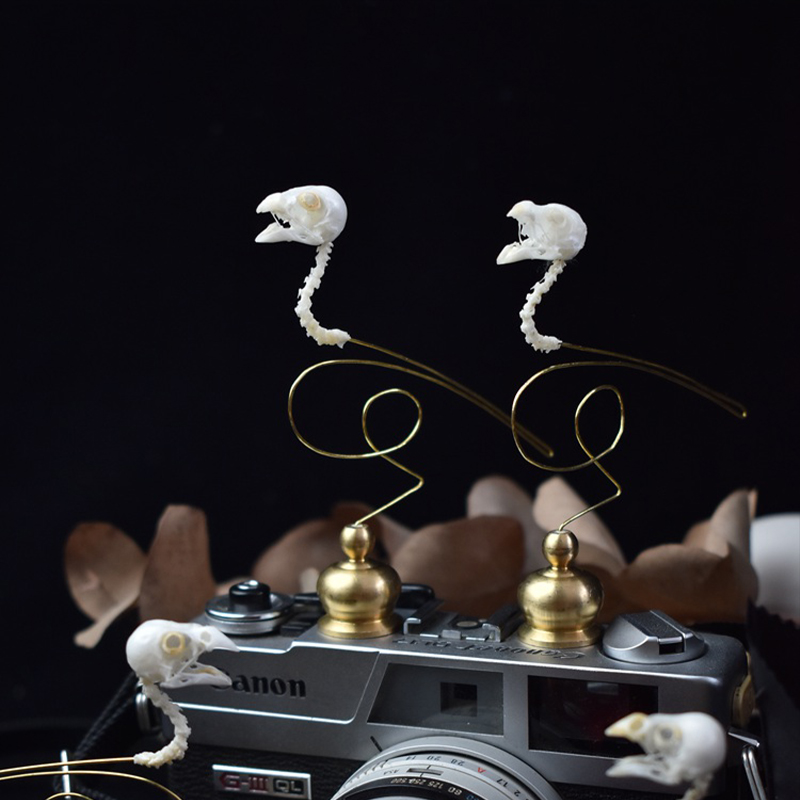 2111 Boutique Ethical Bird Sku - огляд і ціна Art Craft Museum