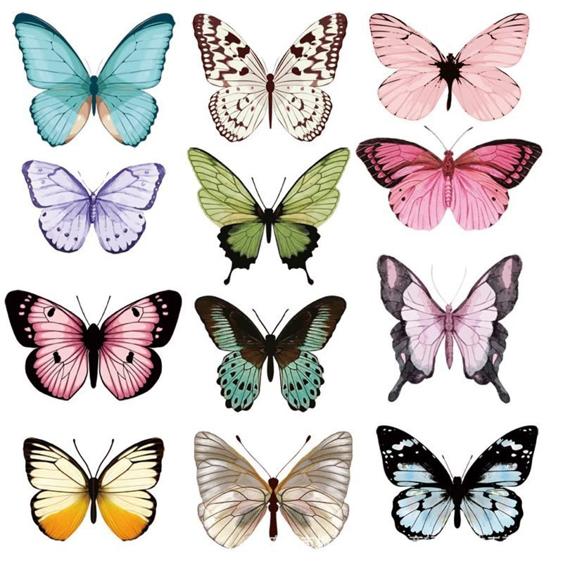 12pcs 3D Butterfly Wall Sticke - огляд і ціна Art Craft Earth Day