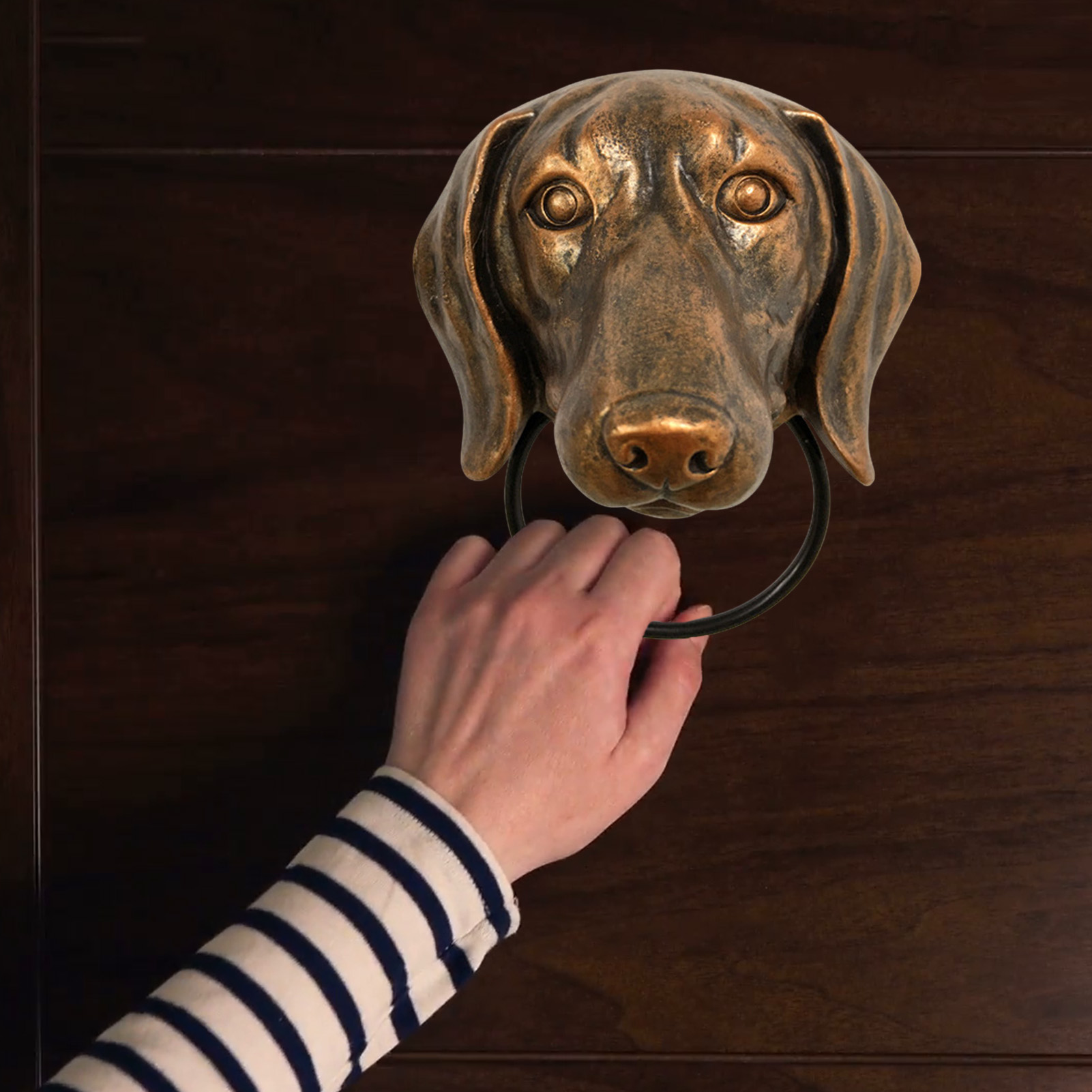 Creative Animals Head Door Kno - огляд і ціна Art Craft Door